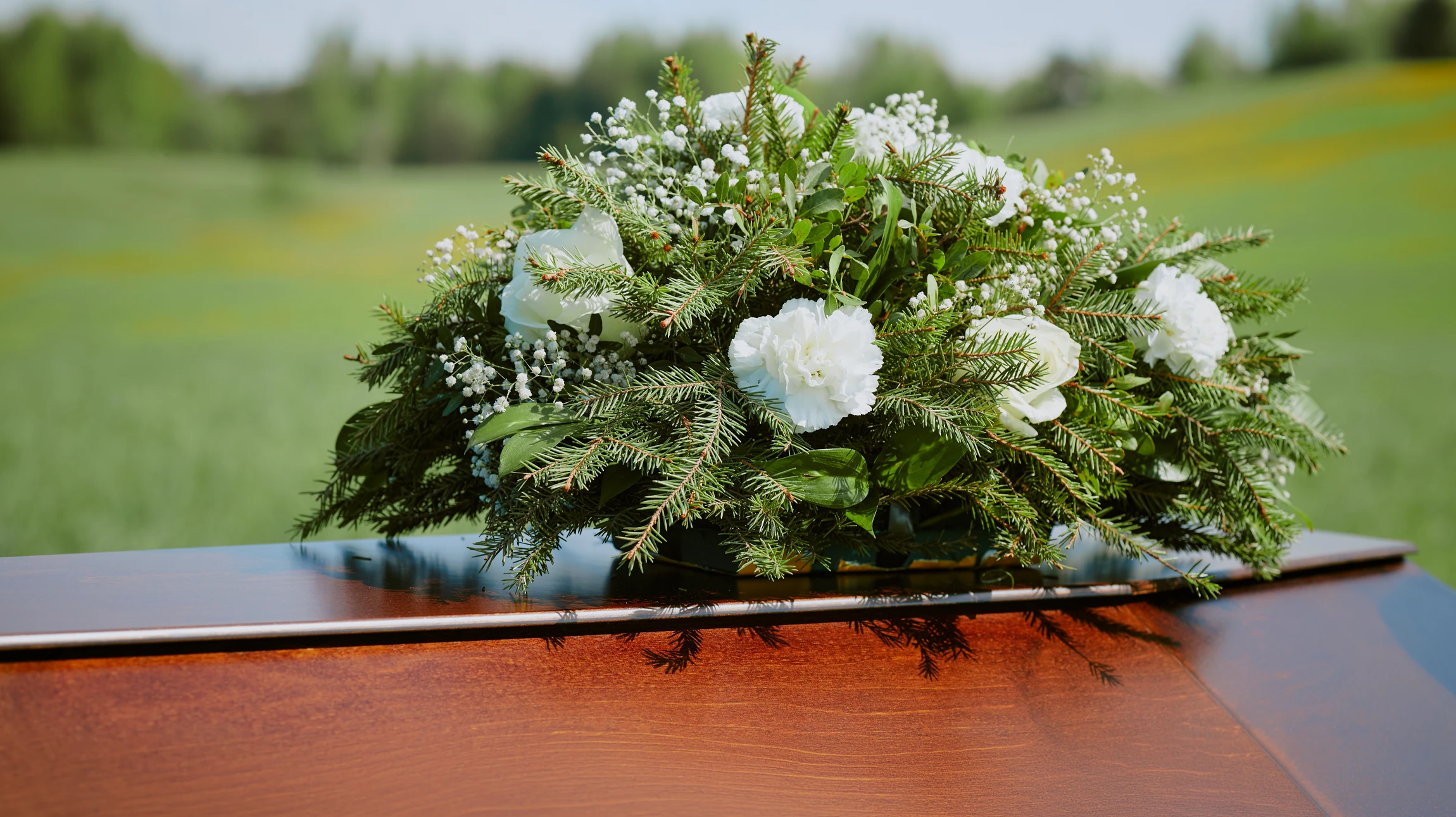 Funérailles, cimetière et mains de rose sur la tombe pour le souvenir, la cérémonie et le service commémoratif