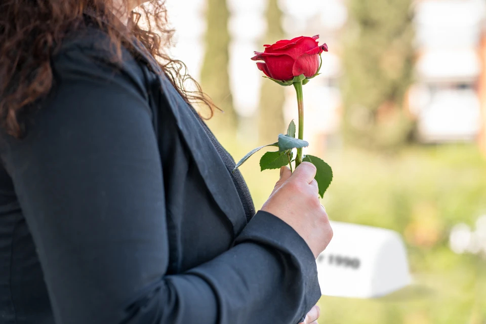 Une famille composée de parents et d'une enfant rencontre une conseillère professionnelle dans un bureau lumineux